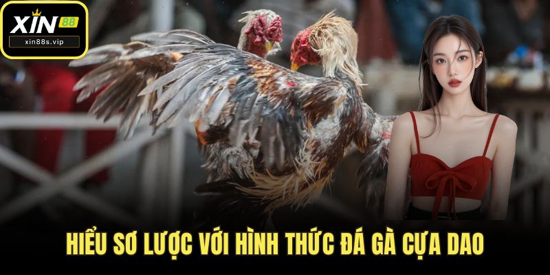 Đá Gà Cựa Dao XIN88 - Đỉnh Cao Giải Trí Dành Cho Các Sư Kê Hiểu sơ lược với hình thức đá gà cựa dao