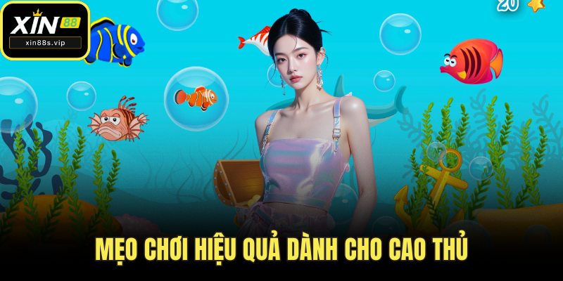 Bắn Cá Xin88 - Hướng Dẫn Chi Tiết Và Mẹo Chơi Hiệu Quả Mẹo chơi hiệu quả dành cho cao thủ