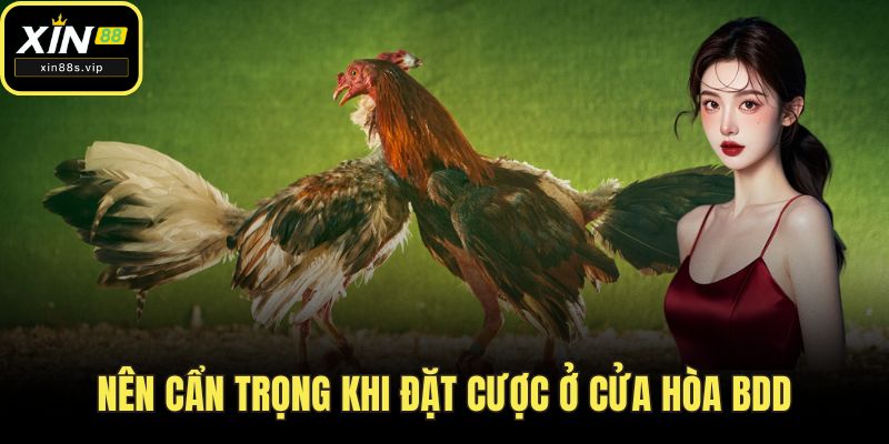 Đá Gà Chọi - Hướng Dẫn Toàn Diện Cách Tham Gia Tại XIN88 Nên cẩn trọng khi đặt cược ở cửa hòa bdd