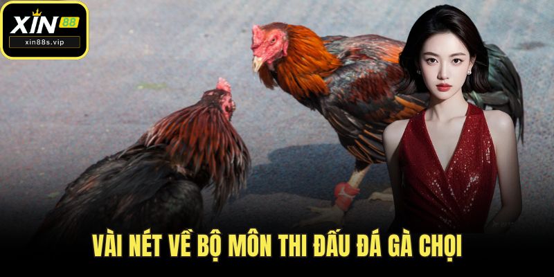 Đá Gà Chọi - Hướng Dẫn Toàn Diện Cách Tham Gia Tại XIN88 Vài nét về bộ môn thi đấu đá gà chọi